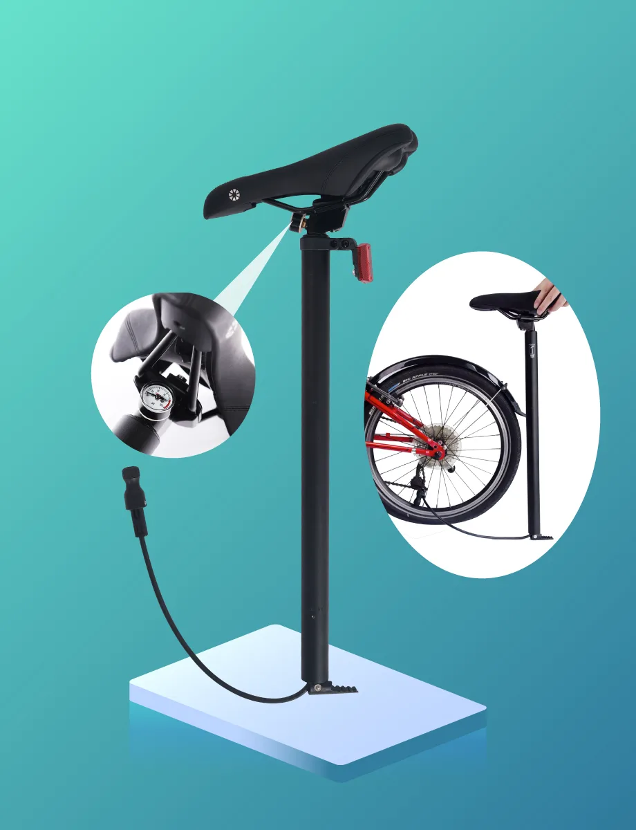 DAHON 座管打气筒官方宣传图